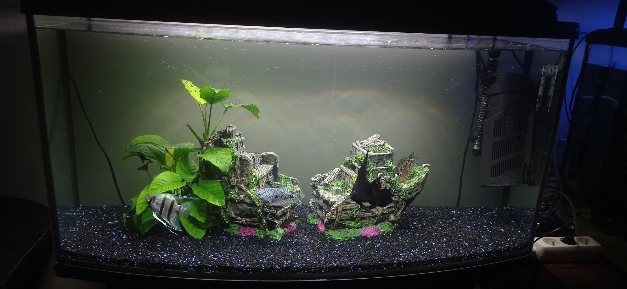 Aquário 180L panorâmico