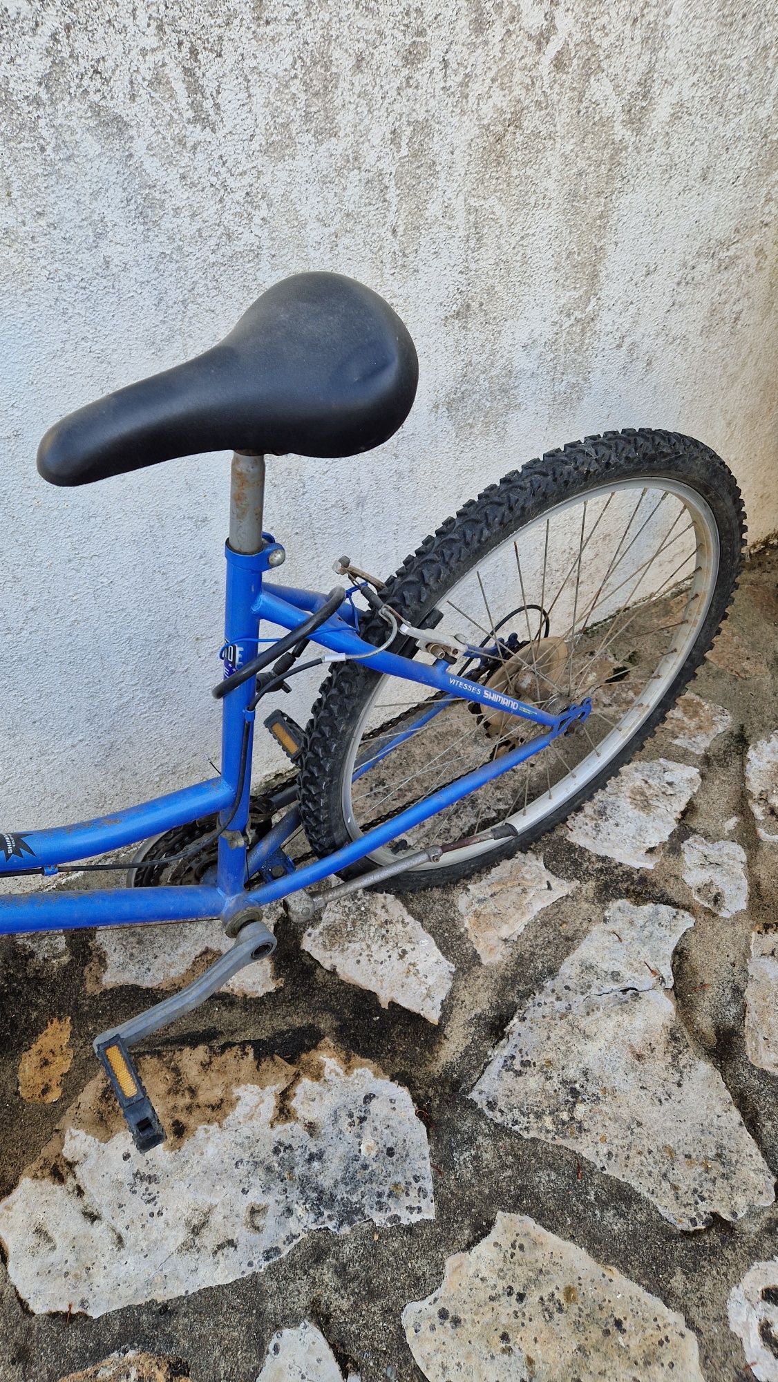 Bicicleta feminina BTT