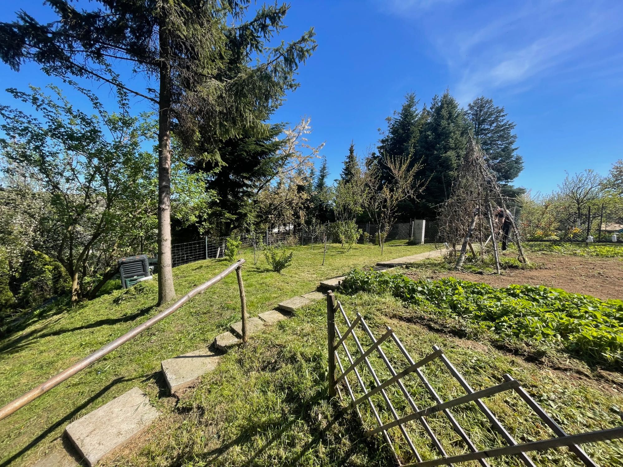 Działka rekreacyjna ROD Trinitatis Bochnia, 306 m2