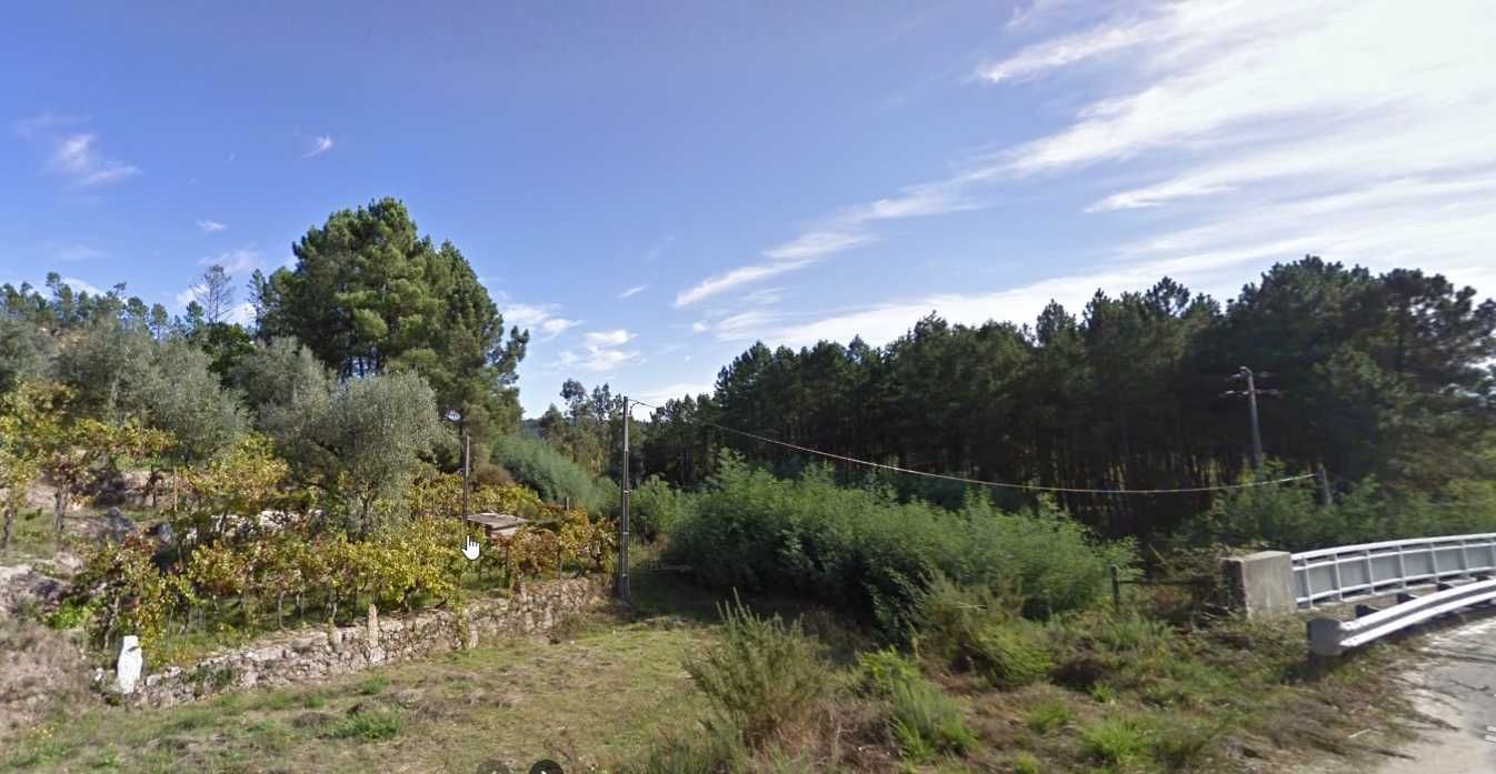 Quintinha agrícola