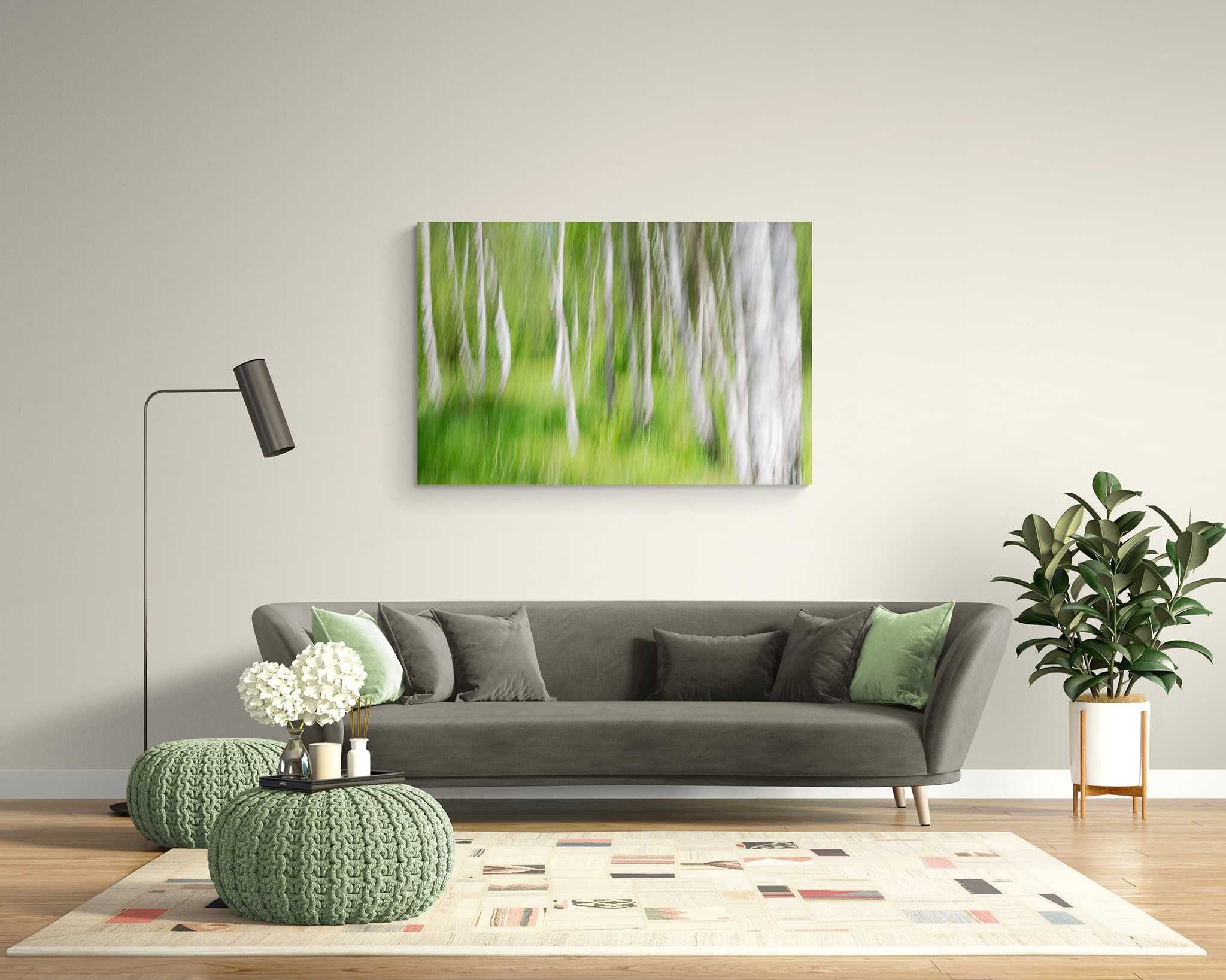 Obraz w Ramie Plakat Abstrakcja Natura Las Brzoza Wiosna 40x30 cm