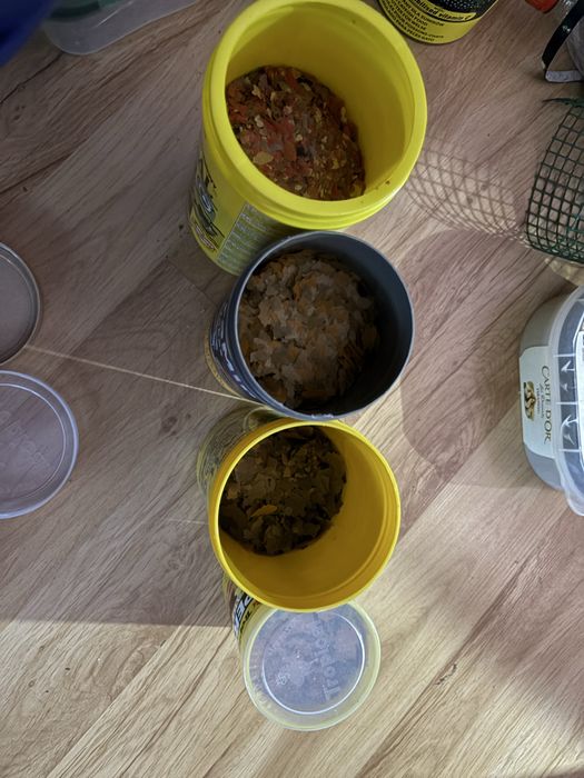 Pokarmy dla ryb akwarium