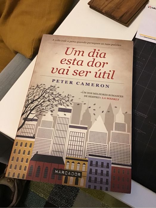 Um Dia Esta Dor Vai Ser Útil - Peter Cameron