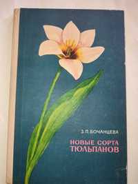 Новые сорта тюльпанов Бочанцева
