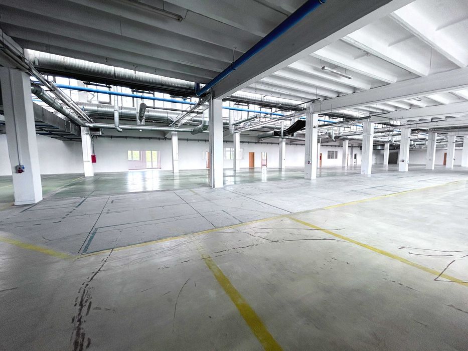 3500 m2 wynajmę - Pabianice - produkcja - magazyn