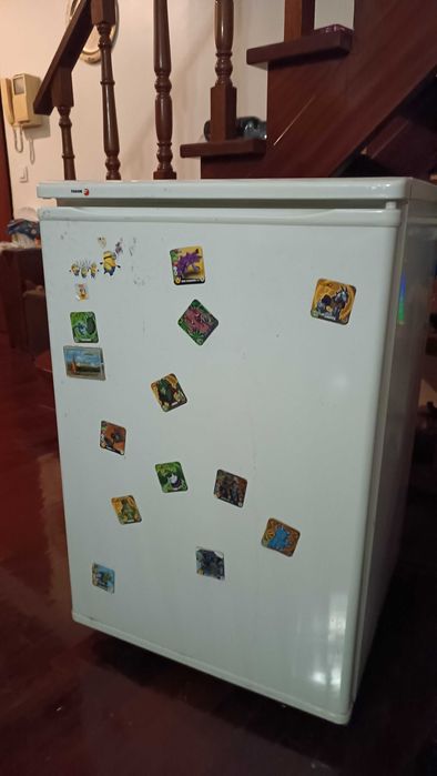 Arca Congeladora e Frigorifico