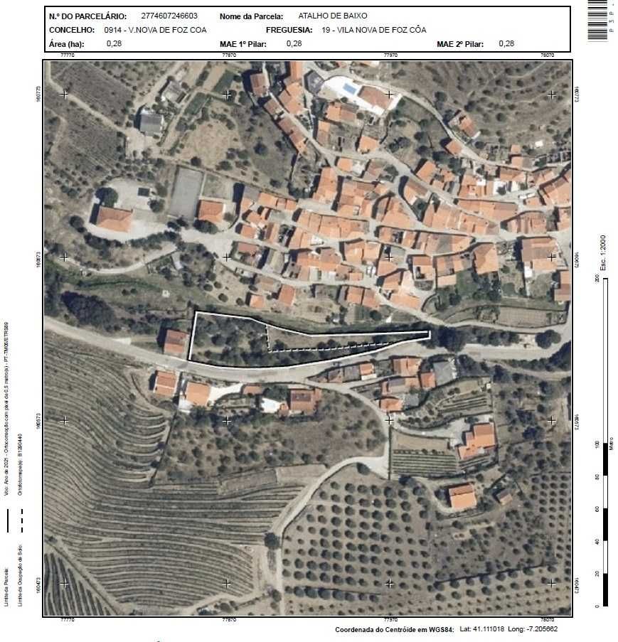 Propriedade rústica Alto Douro vinhateiro gravuras Foz Côa