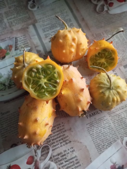 Насіння ківано, ківано рунд, Африканський огірок або Рогата диня.