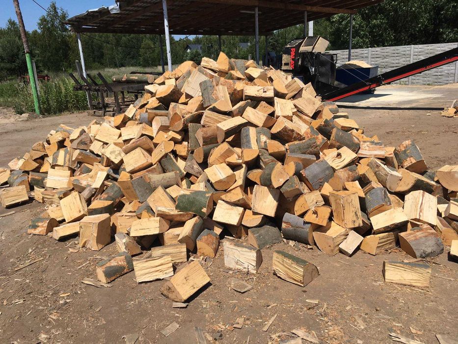 Drewno kominkowe / opałowe buk