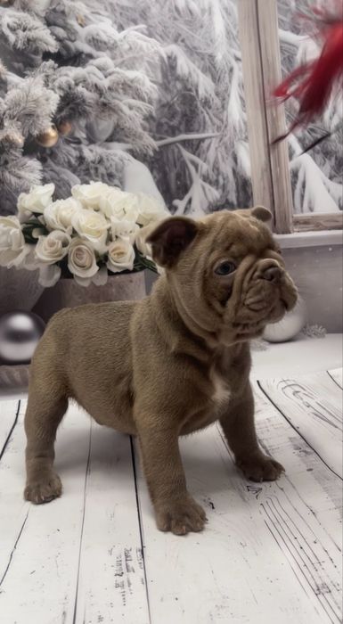 Мальчики есть выбор