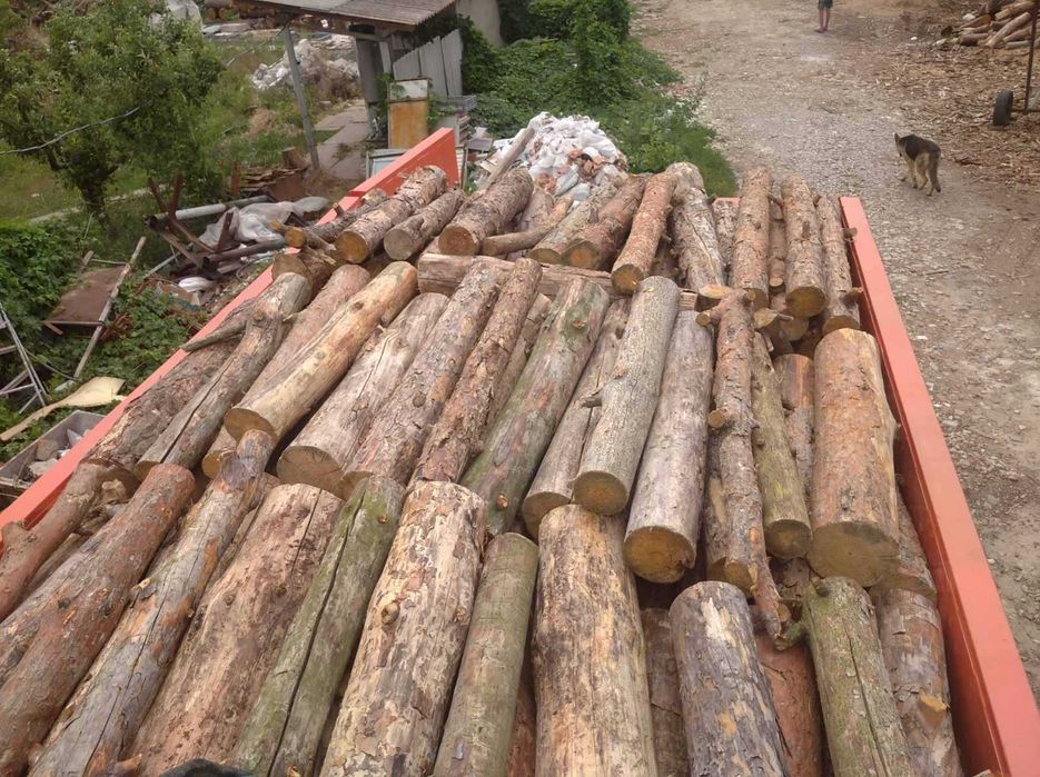 Сосновые дрова. Документы. Быстрая доставка по Одессе