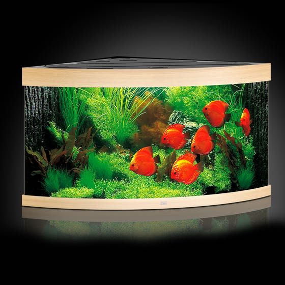 NOWE Akwarium Juwel Trigon 350 LED, zestaw akwariowy
