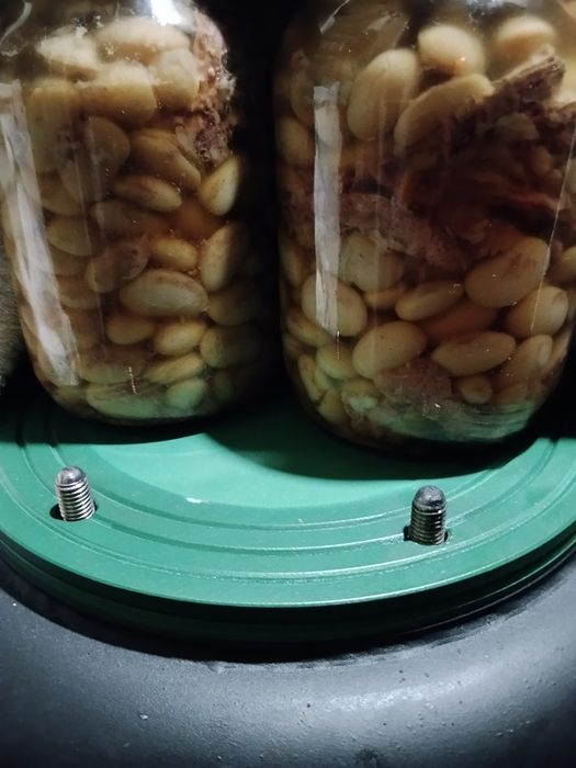 Сало мангалиці угорської