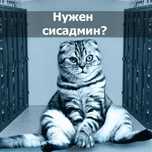 Системный администратор, Сисадмин, аутсорсинг, услуги