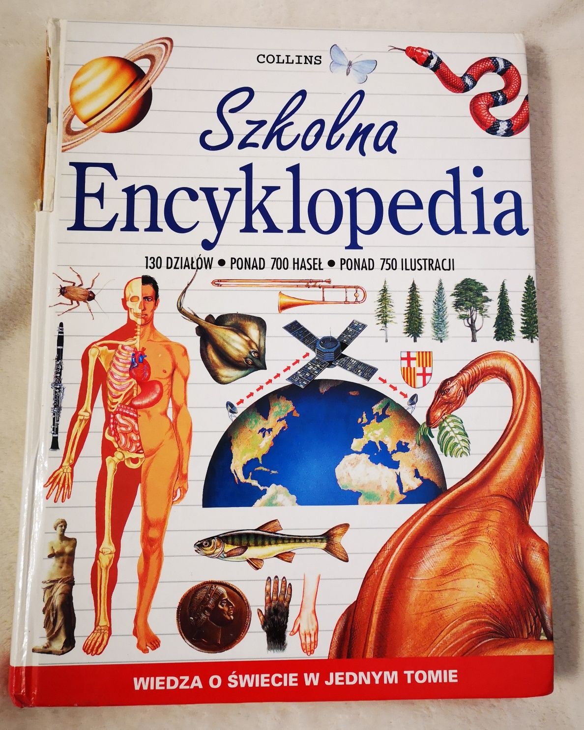 Szkolna encyklopedia