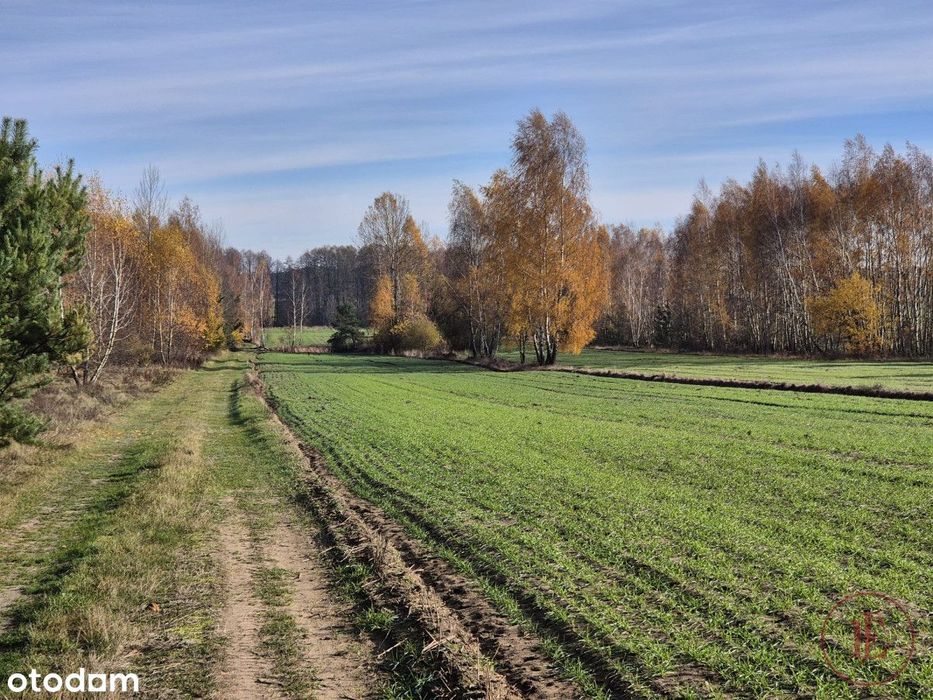 Piękna działka, świetna lokalizacja, las, Bukowiec