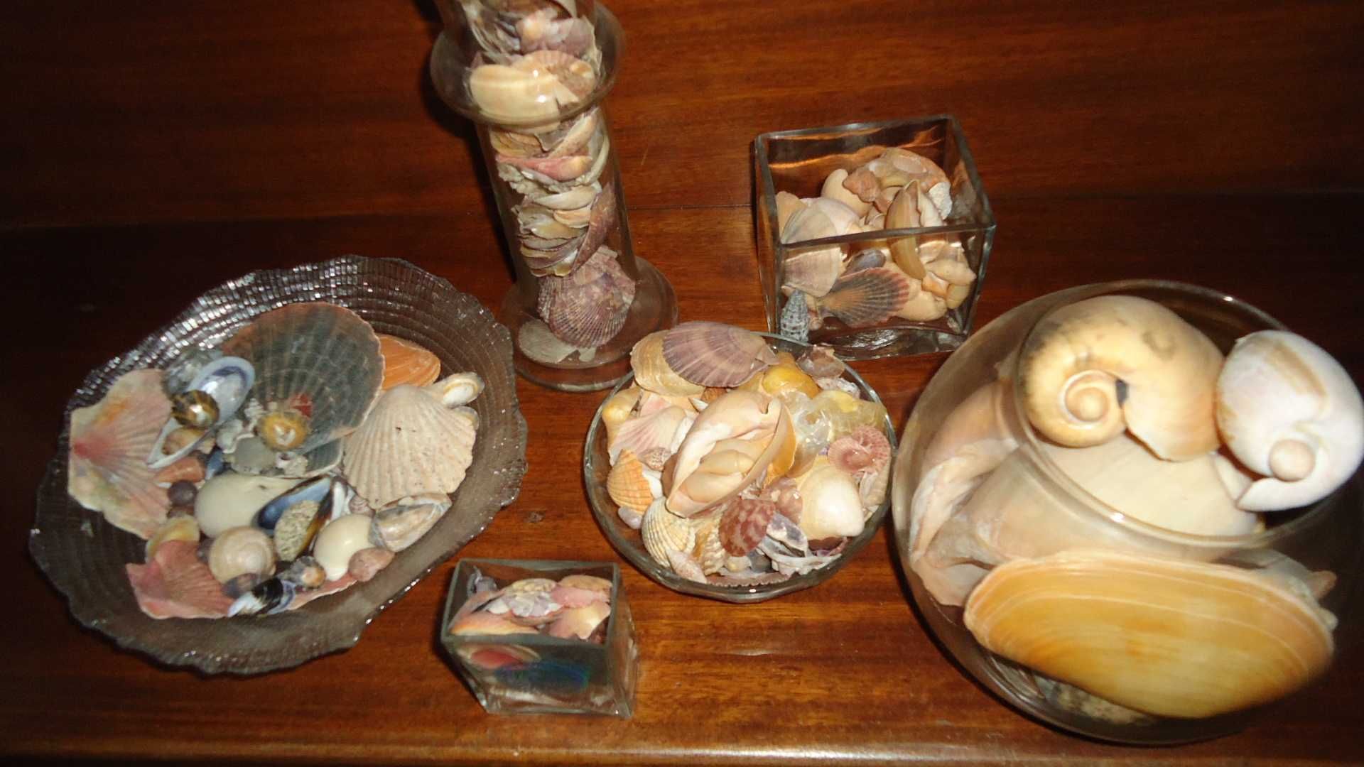 Arranjos com conchas em jarras ou taças de vidro