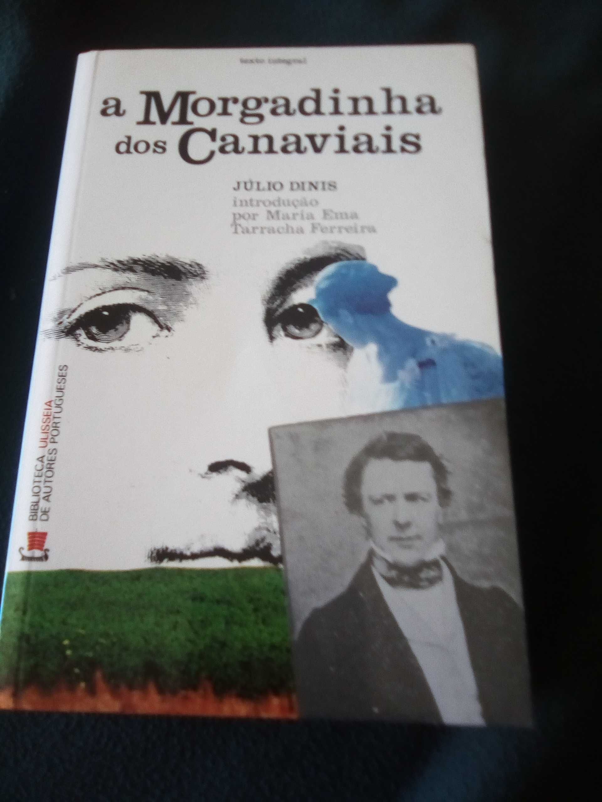 8 livros: Eça, Julio Dinis, Cervantes, Camilo, Esteves Cardoso, ...