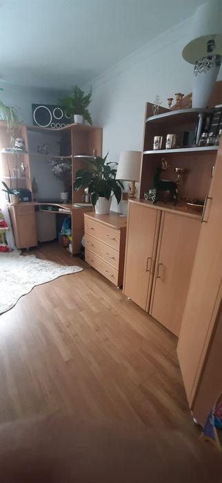 Meblościanka Młodzierzowa Jasny dąb