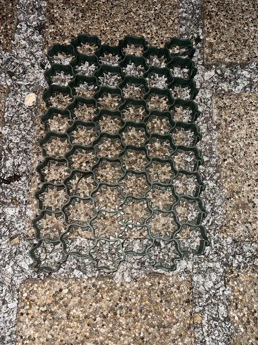 Kratka trawnikowa/chodnikowa