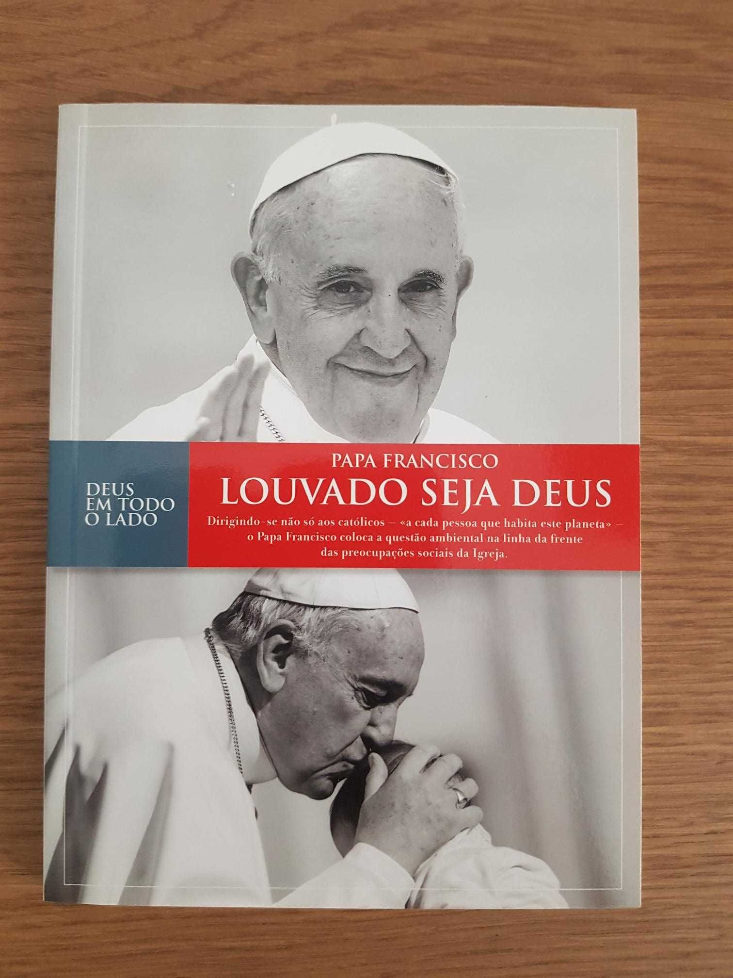 Conjunto 7 Livros Papa Francisco (NOVOS)