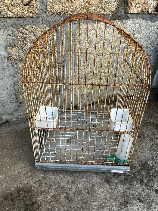 Gaiola para pássaro