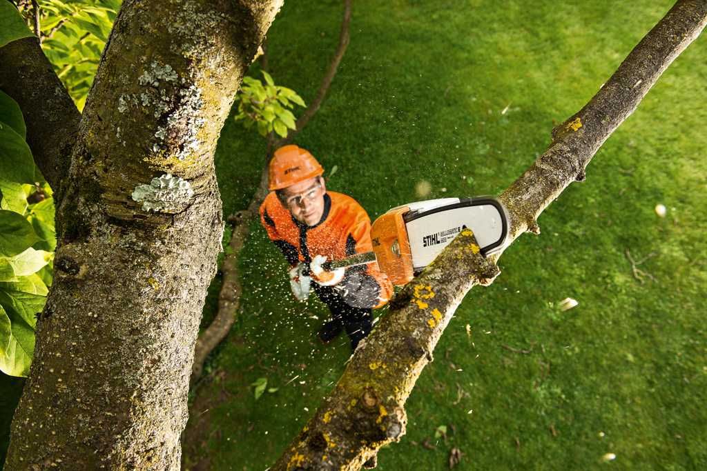 Wypożyczalnia MODRA Wynajem Podkrzesywarka STIHL