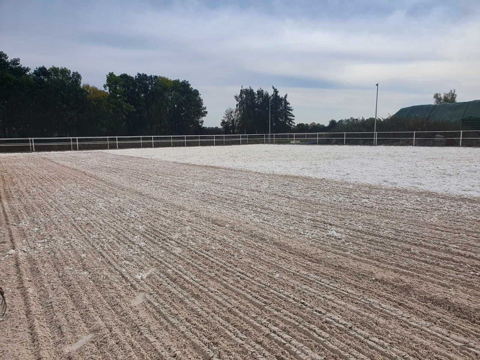 Piasek kwarcowy na ujeżdżalnie konne, parkury, padok, kwarc