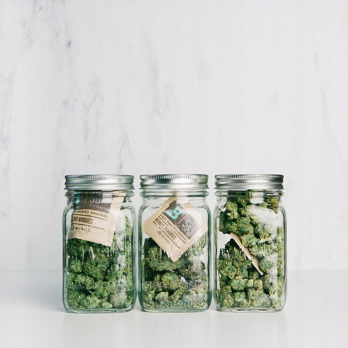 Boveda 62% 4G Saszetka Regulator Wilgotności Susz