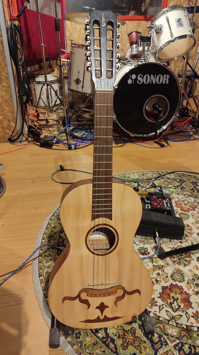 Viola Braguesa APC