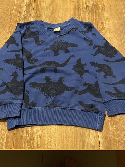 Bluza w dinozaury Cool Club 104