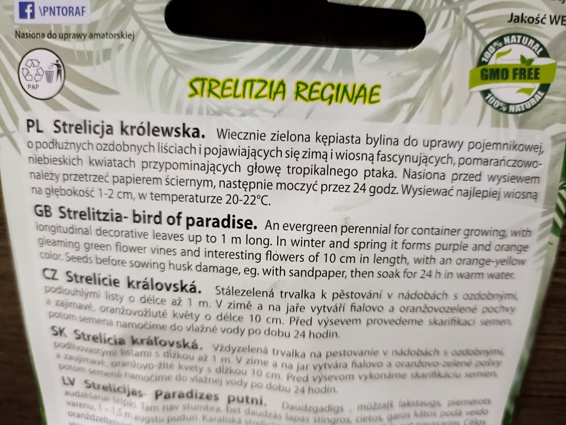 Strelicja królewska nasiona 5 sztuk!