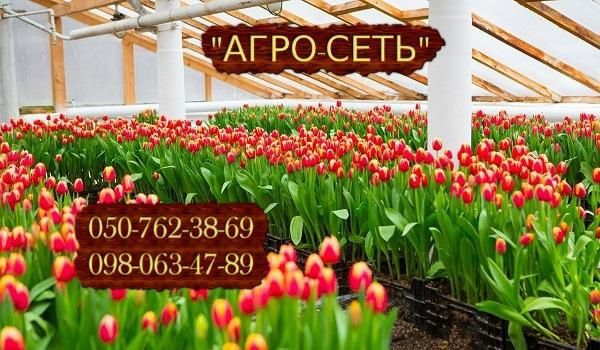 Плівка армована #8, Армированная пленка.#10. для теплиць та парників.