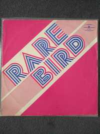 Rare Bird ‎– Rare Bird