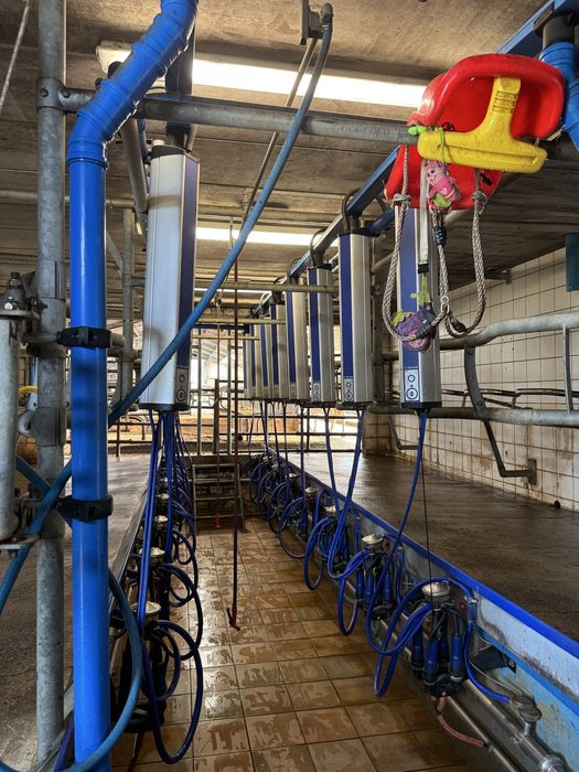 Hala udojowa DeLaval MP400 2x8 – kompletna, gotowa do pracy!