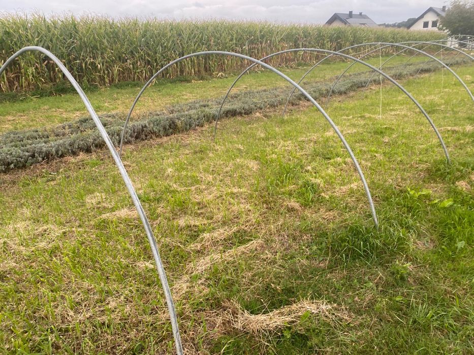 Tunel foliowy szklarnia