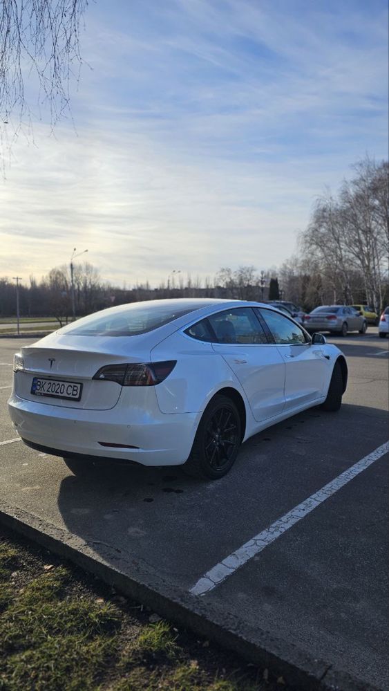 Tesla Model 3 2019 кращий электромобіль