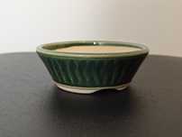 Vaso de acompanhamento bonsai