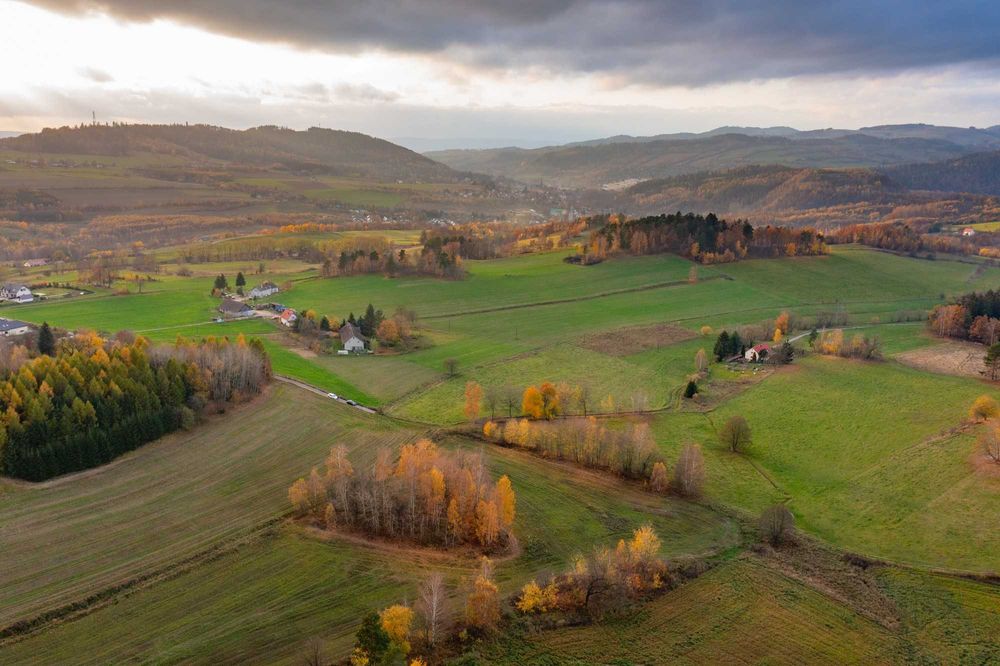 Działka budowlana  0.1260 ha w górach Dzikowiec, Nowa Ruda