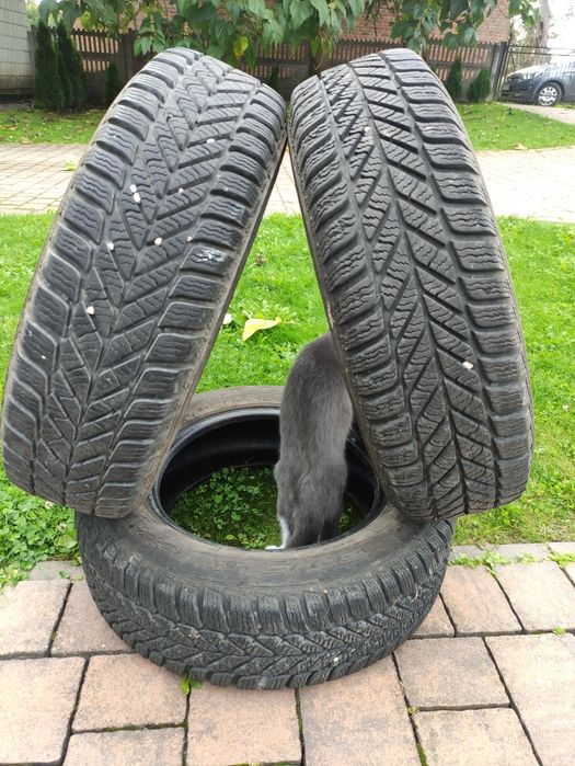 Opony zimowe Dębica Frigo 2, 175/70 R14