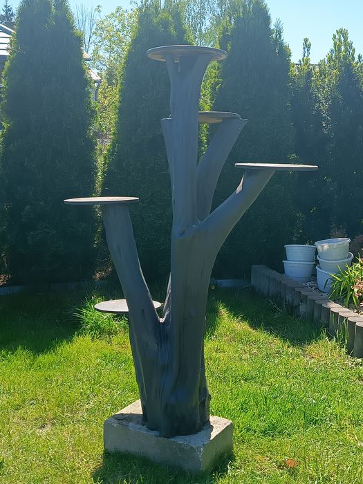 Kwietnik z korzenia