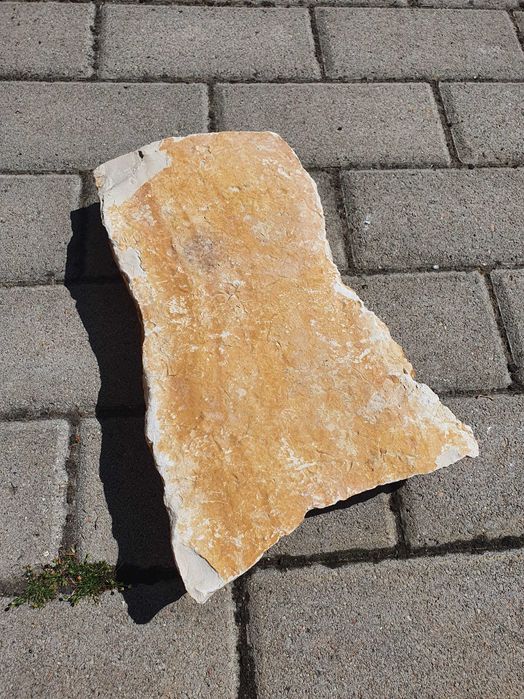 Kamien chodnikowy naturalny
