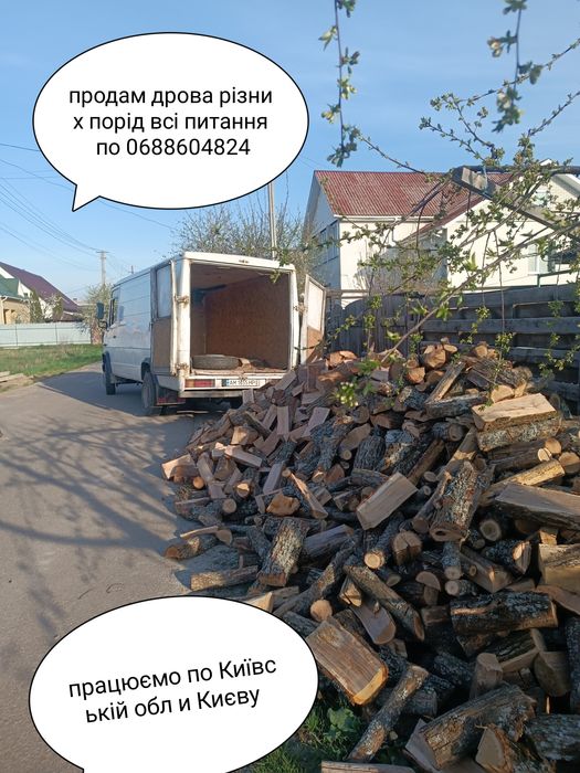 Дрова 100%дуб граб Ясен . Колотиє  Сухие дубовиє дрова