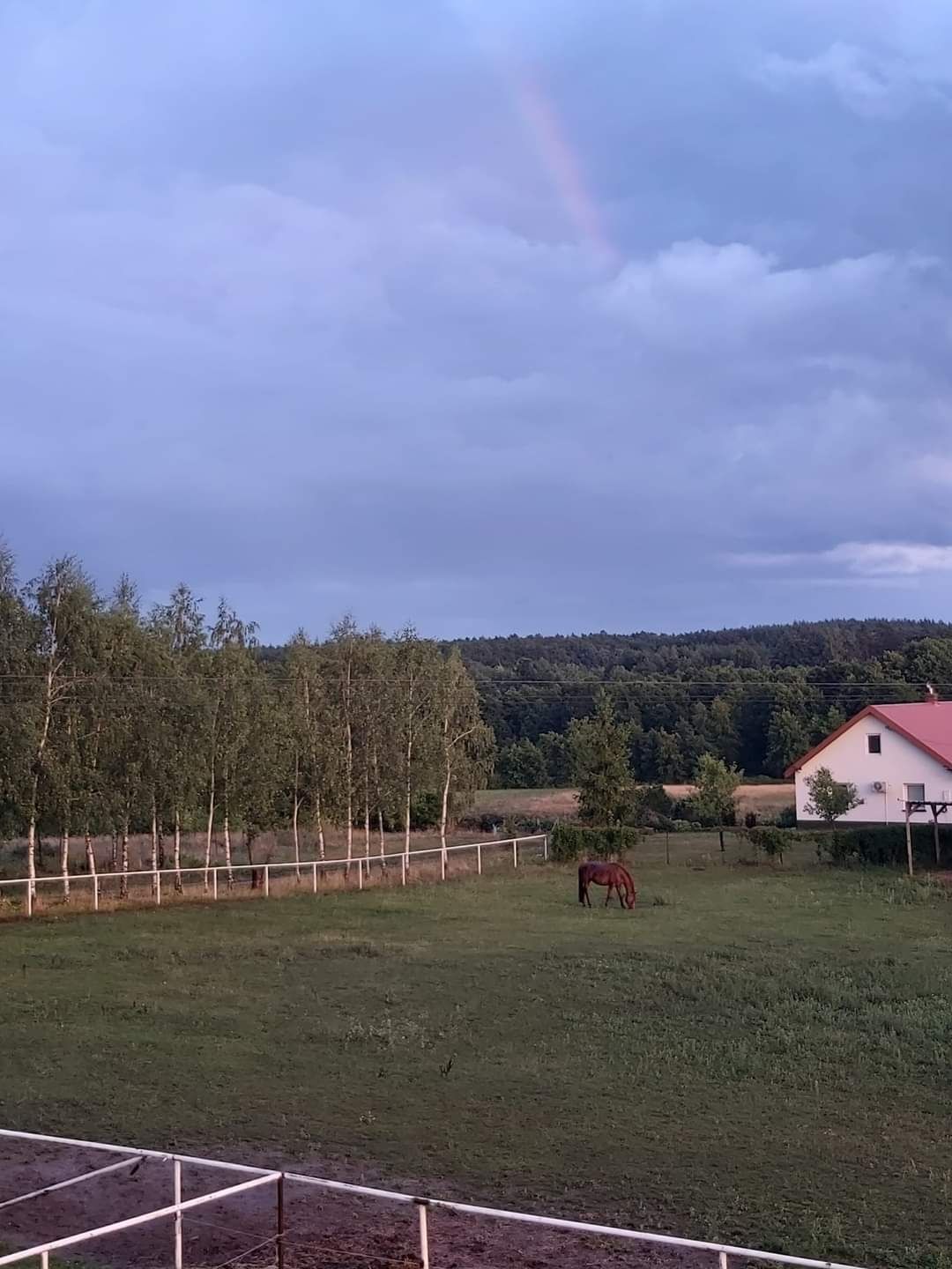 Stajnia pensjonat dla koni hotel wolny wybieg