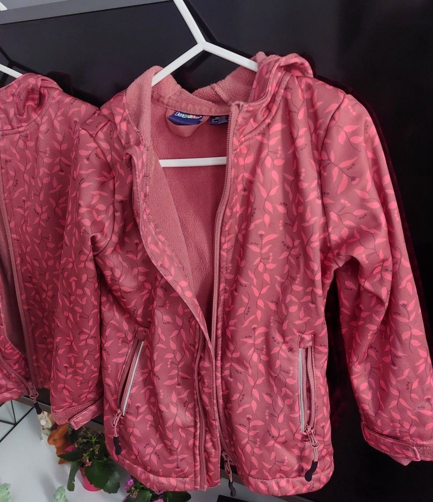 Kurteczki softshell