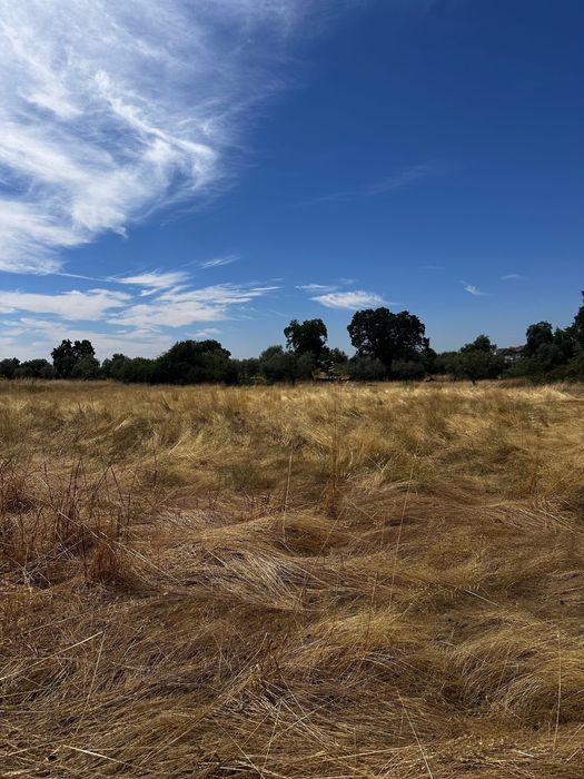 Terreno Rústico 2.132ha Zebreira para Agricultura e Criação de Gado