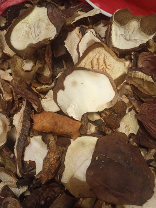 Sprzedam suszone podgrzybki