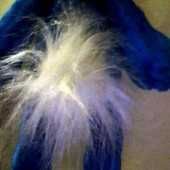 Іграшка м'яка  Заєць  - нова