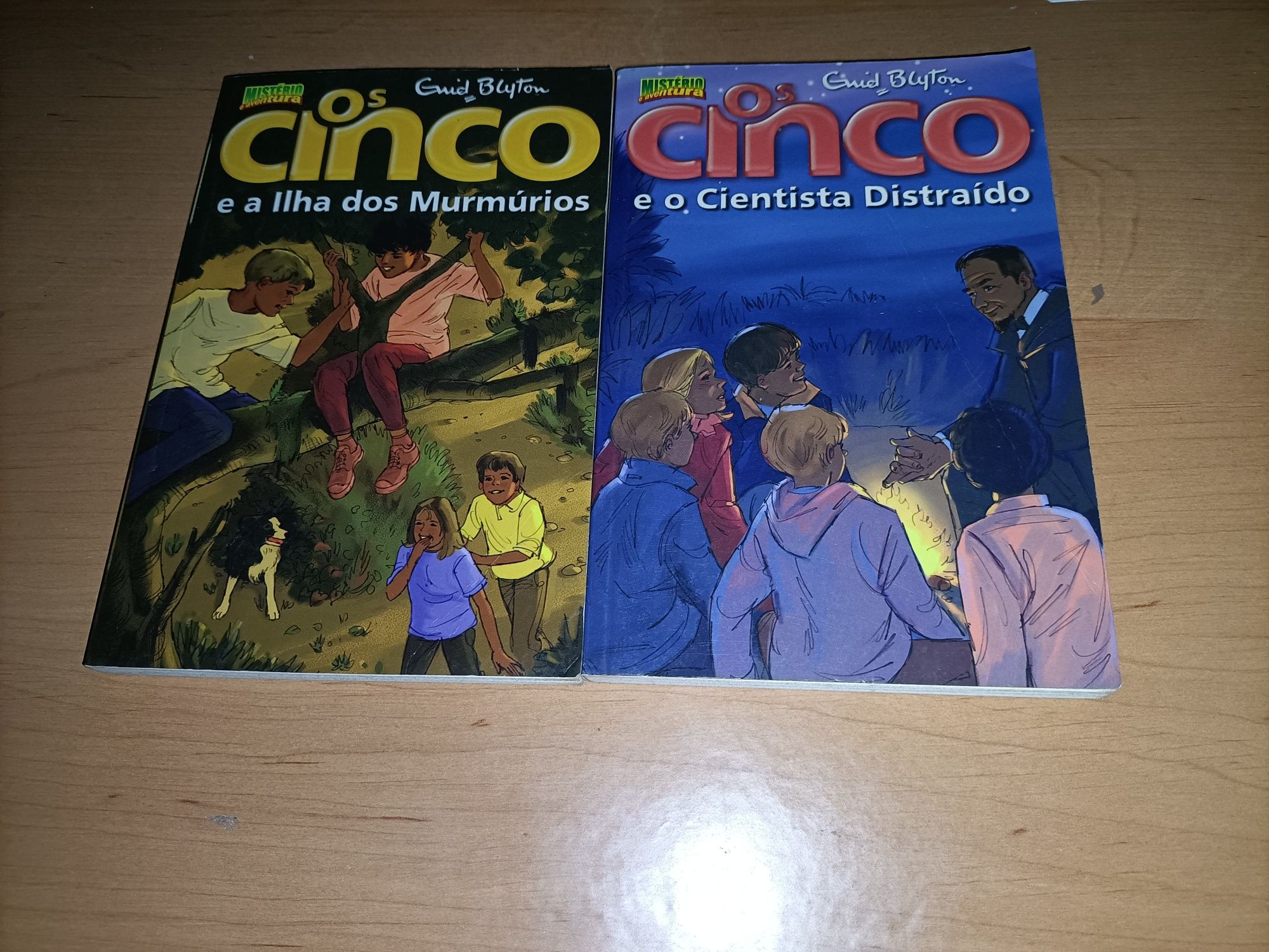 Os cinco_18 livros