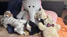 Peluches Grandes e Pequenos